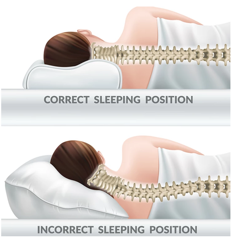 Ihrtrade Contoured Cervical Orthopedic Pillow (2 Types)
