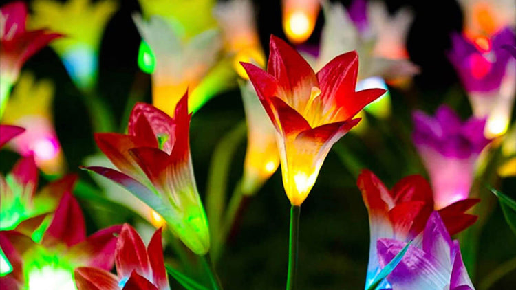 Solar Floral Lights