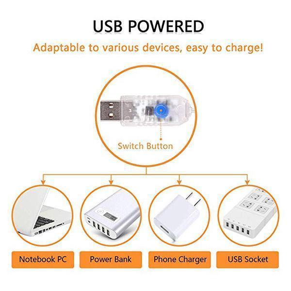 Guirlande lumineuse Lighteme USB avec télécommande (4 couleurs et 4 types)