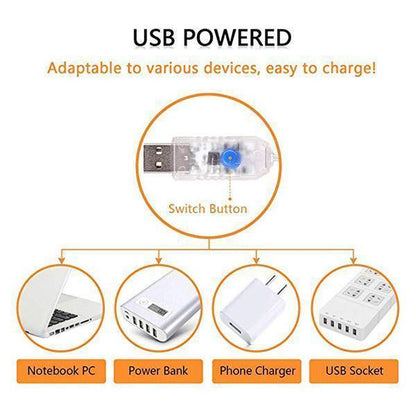 Guirlande lumineuse Lighteme USB avec télécommande (4 couleurs et 4 types)