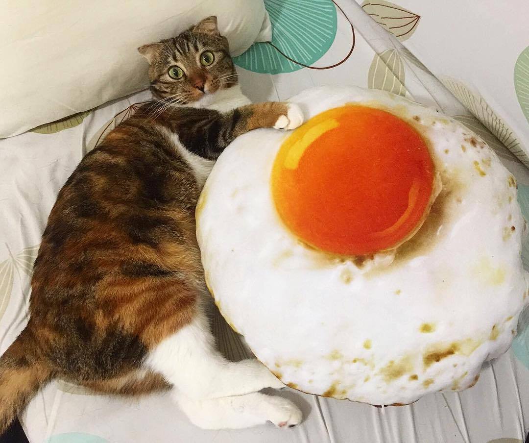 Tapis de toast Lighteme mignon et amusant