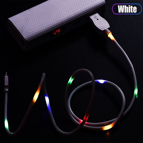 Câble de données à commande vocale Lighteme (2 couleurs)