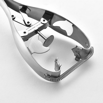 Lighteme ouvre l'appareil à œufs