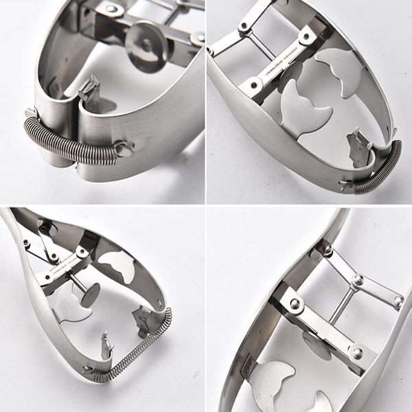 Lighteme ouvre l'appareil à œufs