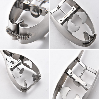 Lighteme ouvre l'appareil à œufs