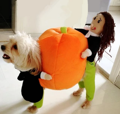 Lighteme Hunde-Kürbis-Halloweenkostüm (2 Varianten &amp; 4 Größen)