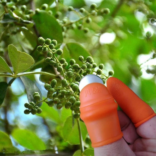 Suitable for picking cucumber, eggplant, chili, tomato