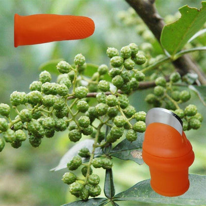 Suitable for picking cucumber, eggplant, chili, tomato