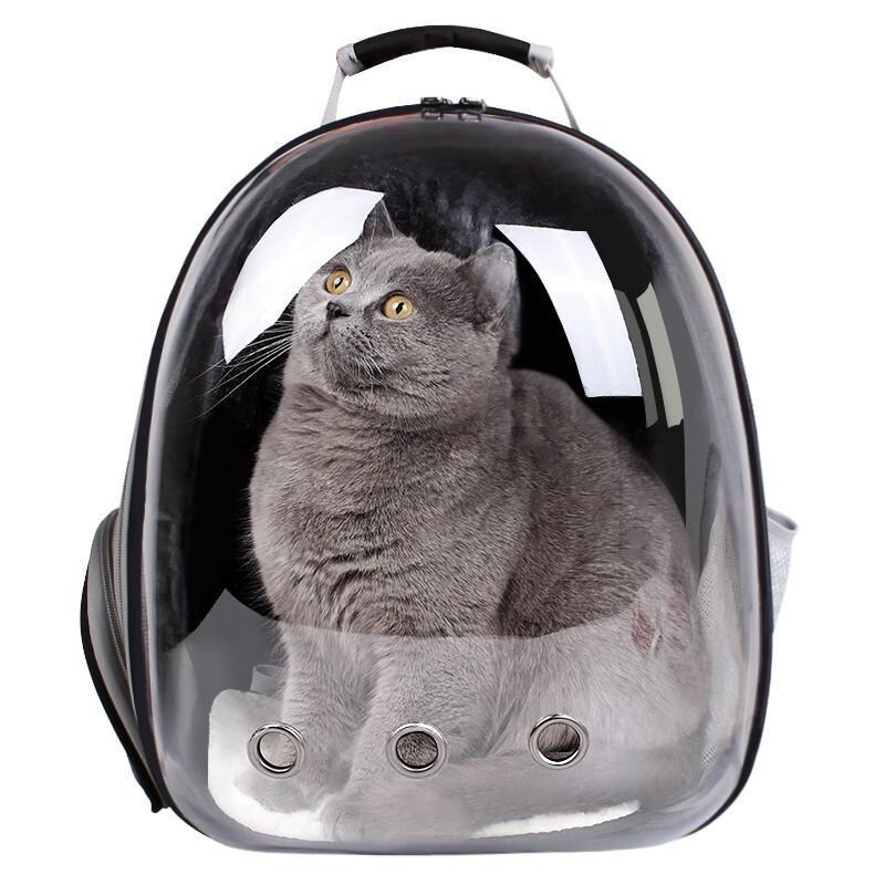 Lighteme Transparenter Katzenrucksack „Catpack“ (6 Farben)