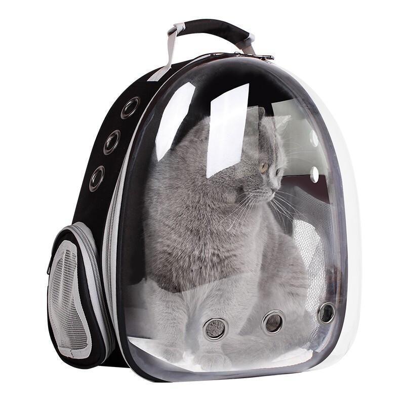 Lighteme Transparenter Katzenrucksack „Catpack“ (6 Farben)