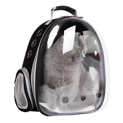 Lighteme Transparenter Katzenrucksack „Catpack“ (6 Farben)