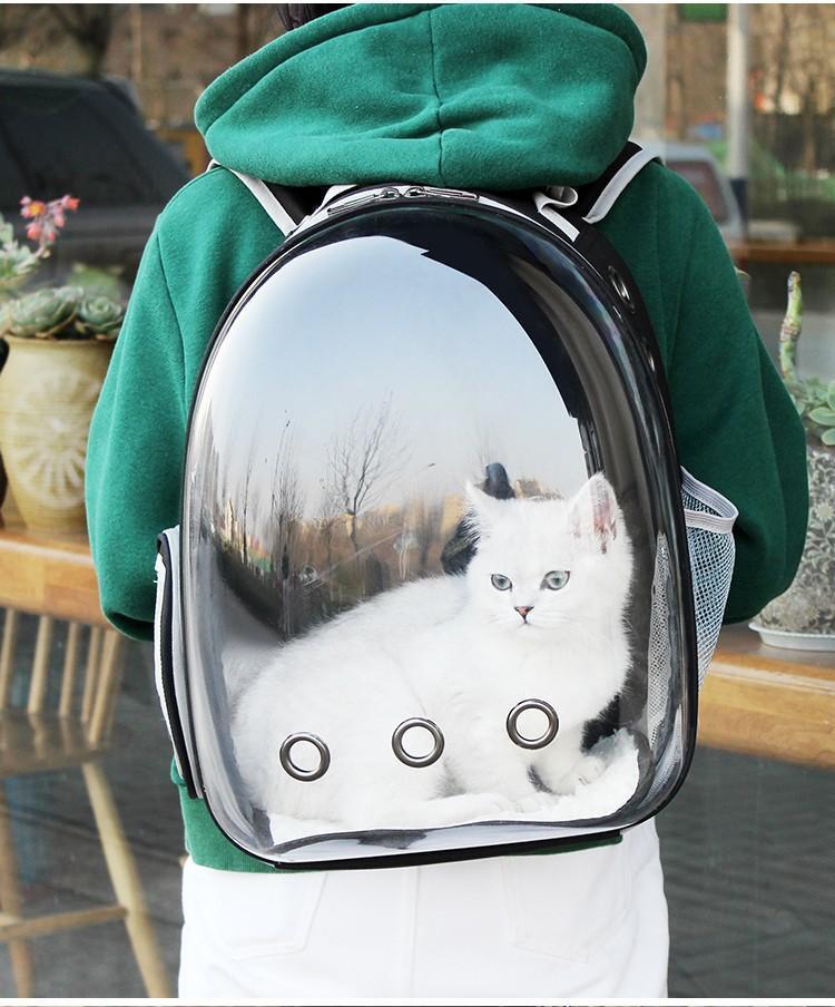 Lighteme Transparenter Katzenrucksack „Catpack“ (6 Farben)