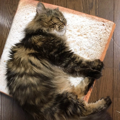Tapis de toast Lighteme mignon et amusant