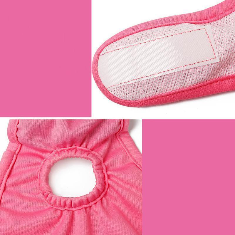 Lighteme 2er-Pack maschinenwaschbare Hunde-Physiologische Hosen (3 Farben &amp; 5 Größen)