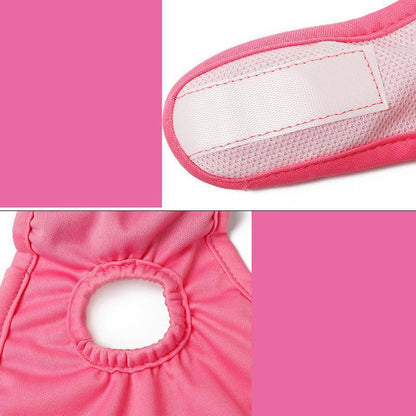 Lighteme 2er-Pack maschinenwaschbare Hunde-Physiologische Hosen (3 Farben &amp; 5 Größen)