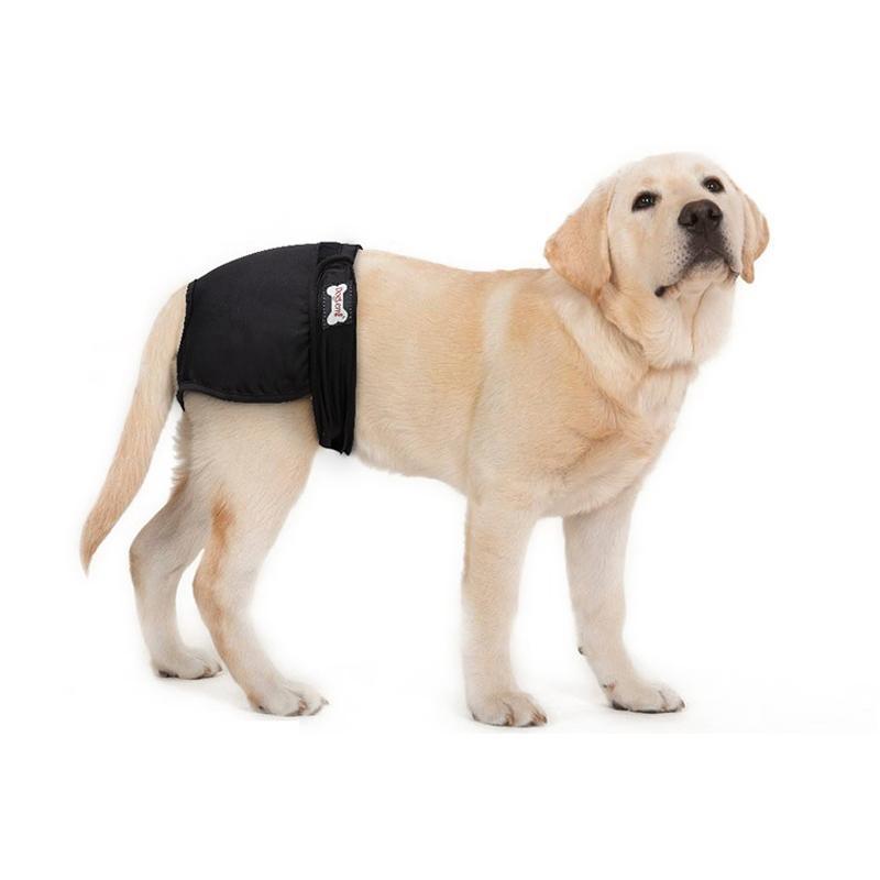 Lighteme 2er-Pack maschinenwaschbare Hunde-Physiologische Hosen (3 Farben &amp; 5 Größen)
