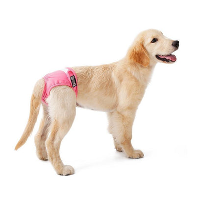 Lighteme 2er-Pack maschinenwaschbare Hunde-Physiologische Hosen (3 Farben &amp; 5 Größen)