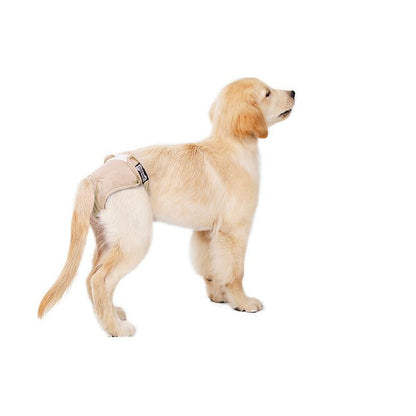 Lighteme 2er-Pack maschinenwaschbare Hunde-Physiologische Hosen (3 Farben &amp; 5 Größen)