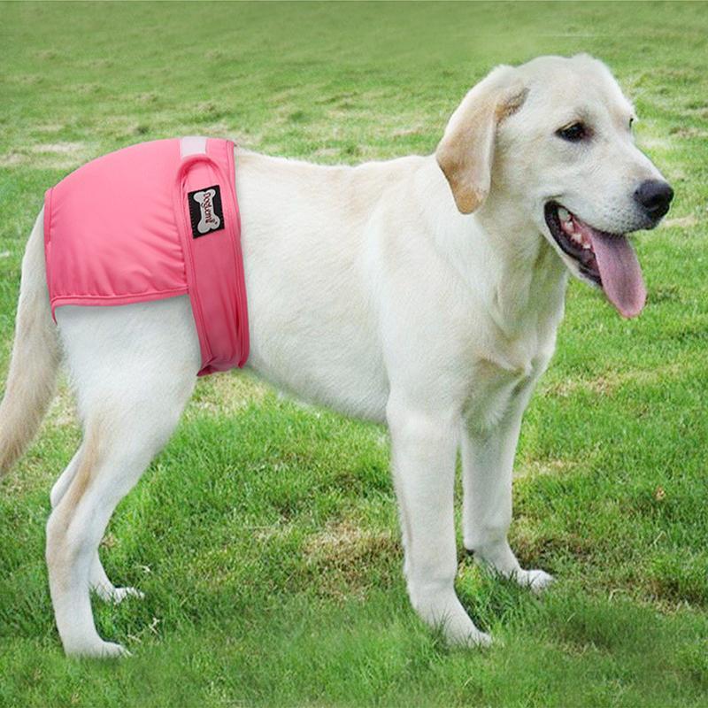 Lighteme 2er-Pack maschinenwaschbare Hunde-Physiologische Hosen (3 Farben &amp; 5 Größen)