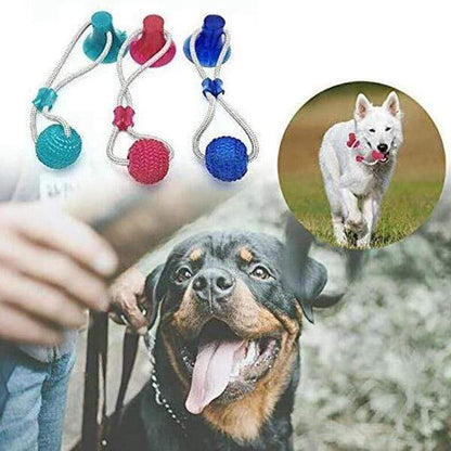 Jouet dentaire multifonction Lighteme pour animaux (3 couleurs)