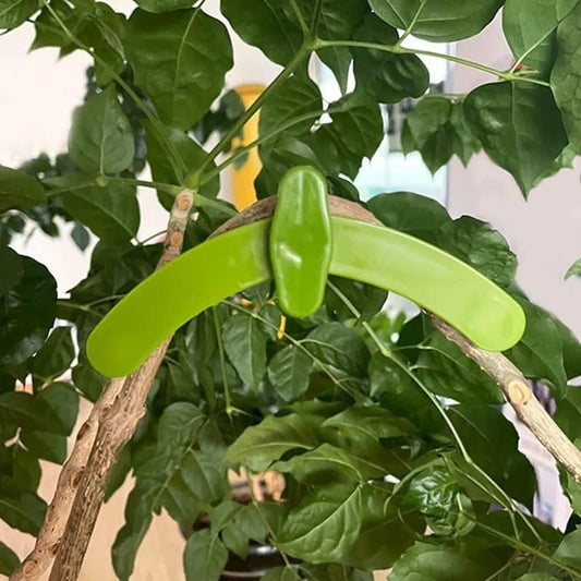 Clips de formation de plantes à angle réglable Lighteme - Améliorez la durée de vie de vos plantes !