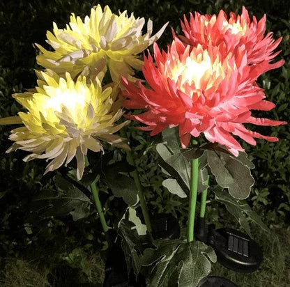 Lampe solaire de jardin Lighteme Chrysanthemum LED