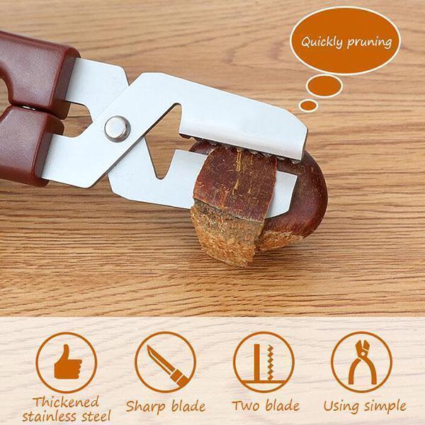 Ciseaux Lighteme pour châtaignes