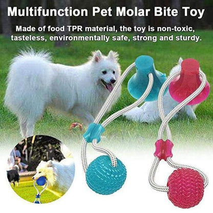 Jouet dentaire multifonction Lighteme pour animaux (3 couleurs)