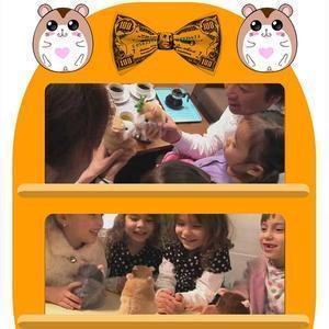 Hamster effronté Lighteme (6 types)