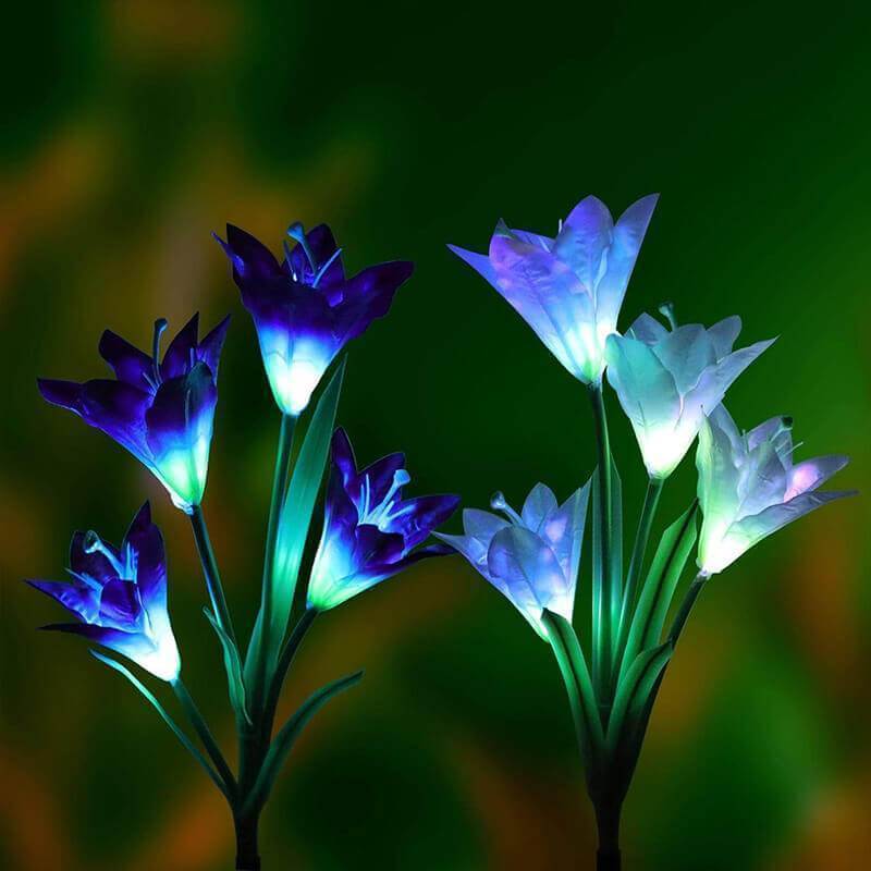 Ihrtrade Artificial Lily Solar Garden Stake Lights (1 Pack of 4 Lilies) | Colored Contact Lenses