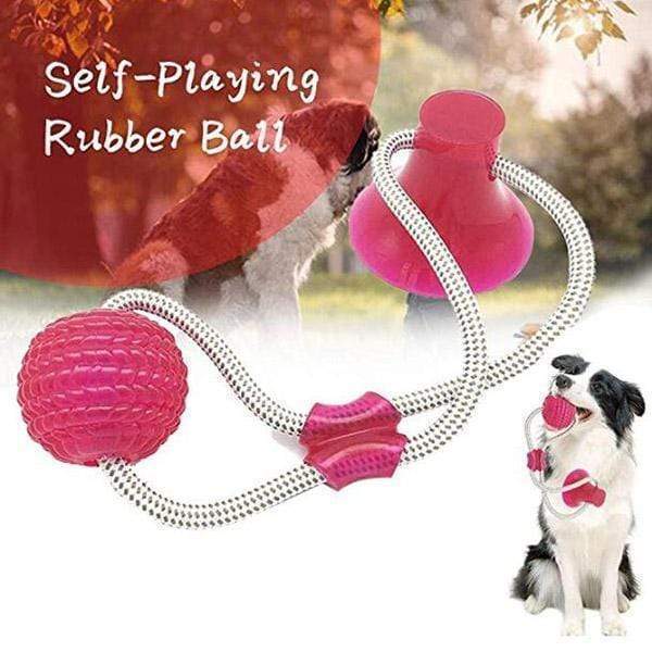 Jouet dentaire multifonction Lighteme pour animaux (3 couleurs)