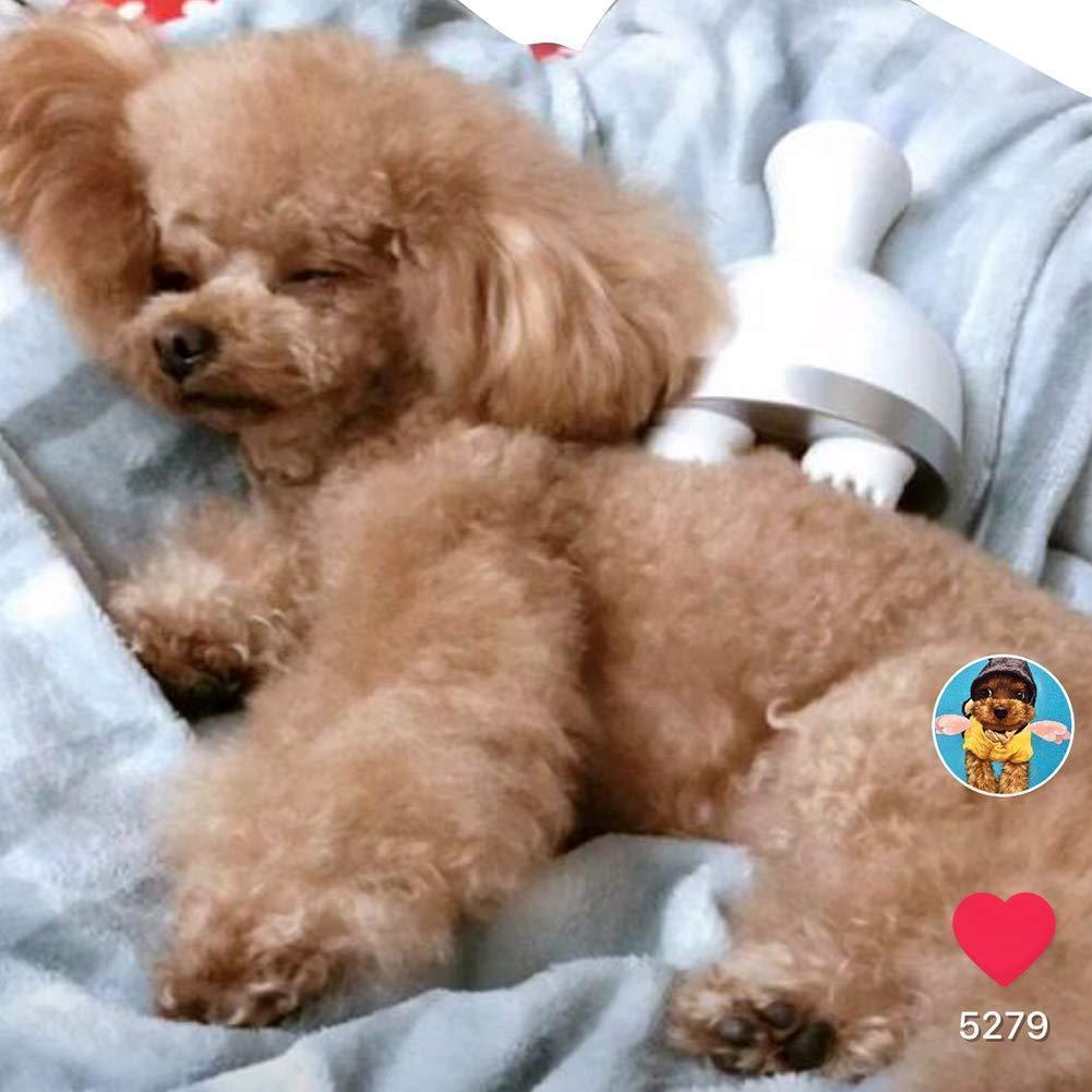 Lighteme Haustiermassagegerät