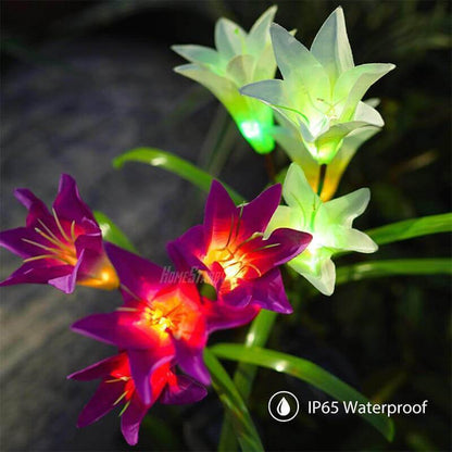 Ihrtrade Artificial Lily Solar Garden Stake Lights (1 Pack of 4 Lilies) | Colored Contact Lenses
