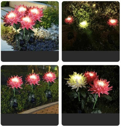 Lampe solaire de jardin Lighteme Chrysanthemum LED