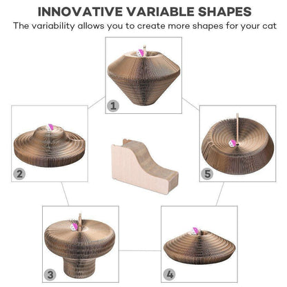 Fauteuil Lighteme Cat