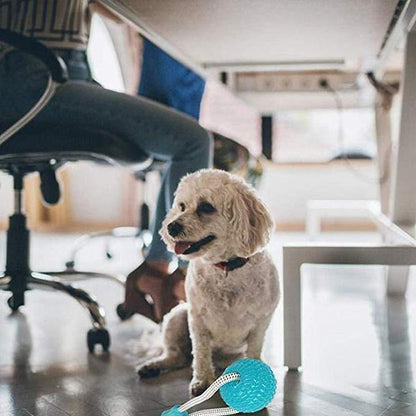 Jouet dentaire multifonction Lighteme pour animaux (3 couleurs)