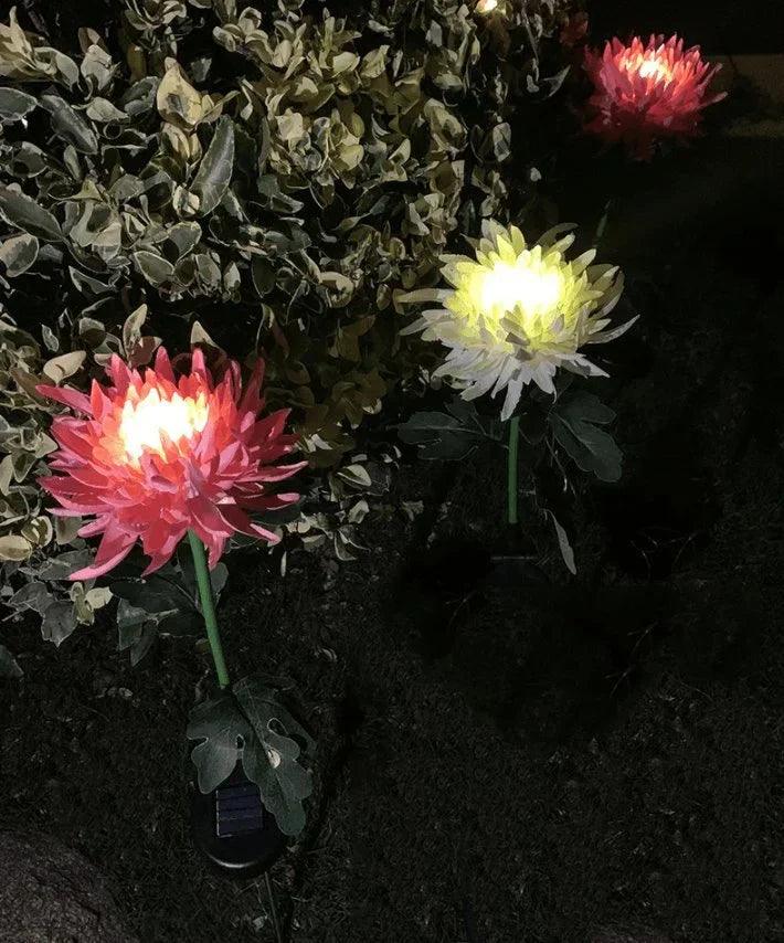 Lampe solaire de jardin Lighteme Chrysanthemum LED