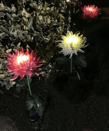 Lampe solaire de jardin Lighteme Chrysanthemum LED