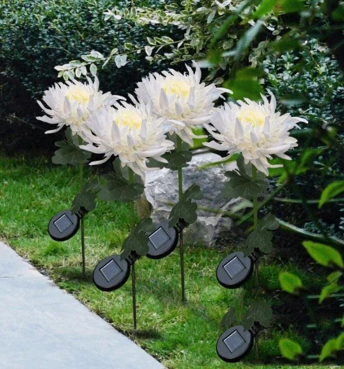 Lampe solaire de jardin Lighteme Chrysanthemum LED