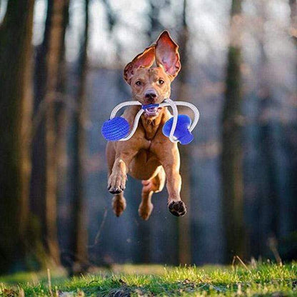 Jouet dentaire multifonction Lighteme pour animaux (3 couleurs)