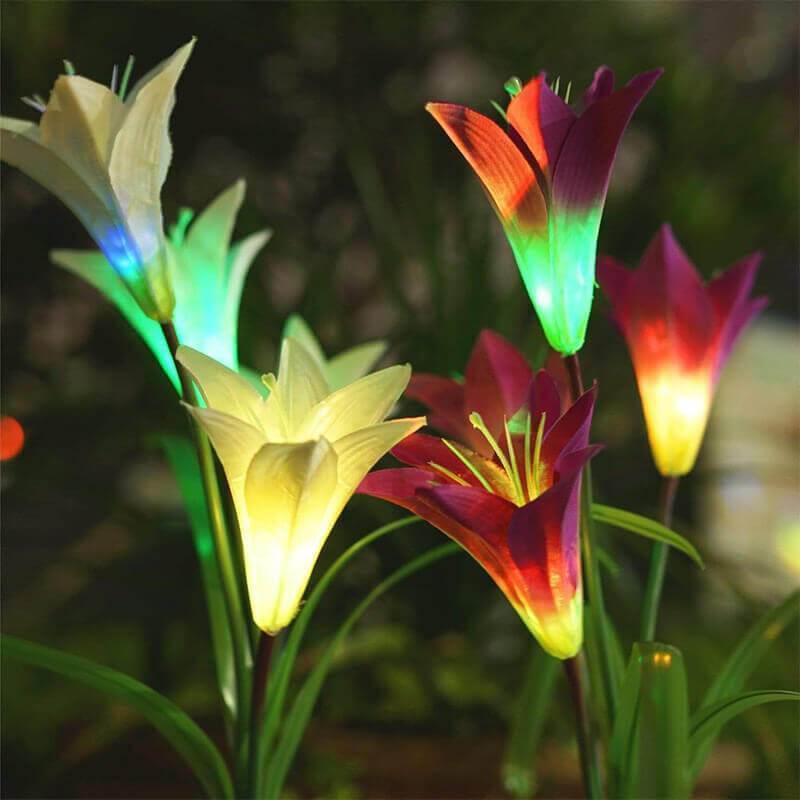 Ihrtrade Artificial Lily Solar Garden Stake Lights (1 Pack of 4 Lilies) | Colored Contact Lenses