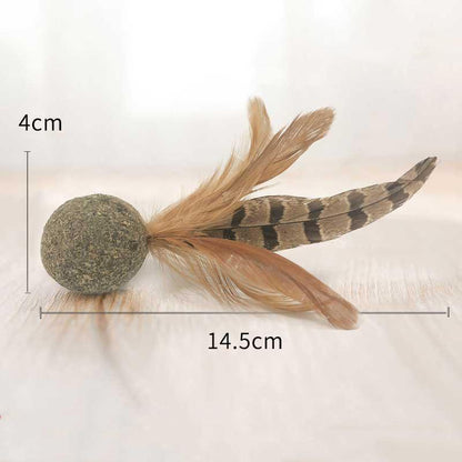 IHRneer Actinidia Polygama Lolipop Backenzahnzubehör (4 Arten)