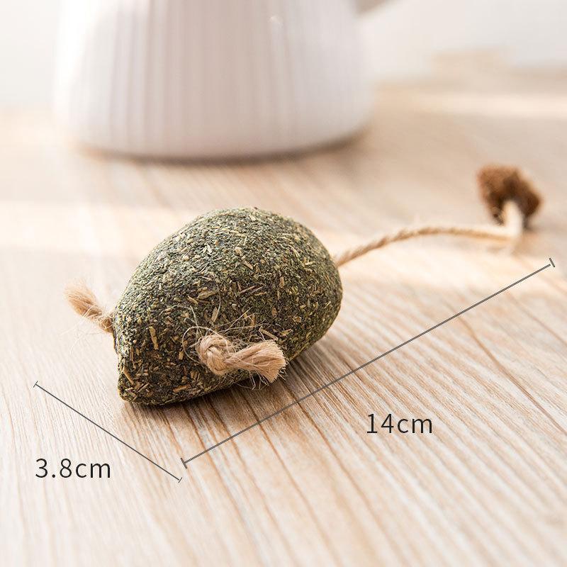 IHRneer Actinidia Polygama Lolipop Backenzahnzubehör (4 Arten)