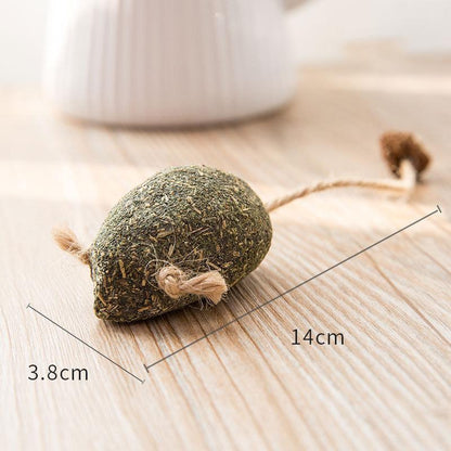 IHRneer Actinidia Polygama Lolipop Backenzahnzubehör (4 Arten)