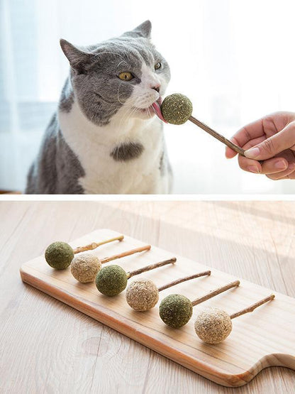 IHRneer Actinidia Polygama Lolipop Backenzahnzubehör (4 Arten)