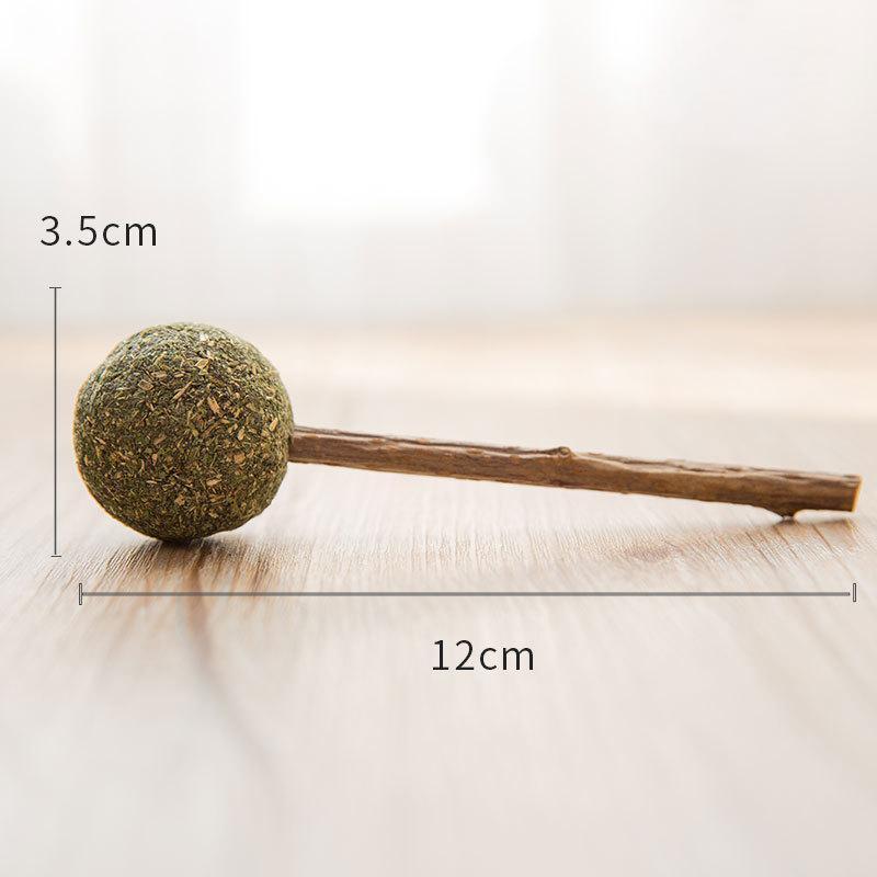 IHRneer Actinidia Polygama Lolipop Backenzahnzubehör (4 Arten)