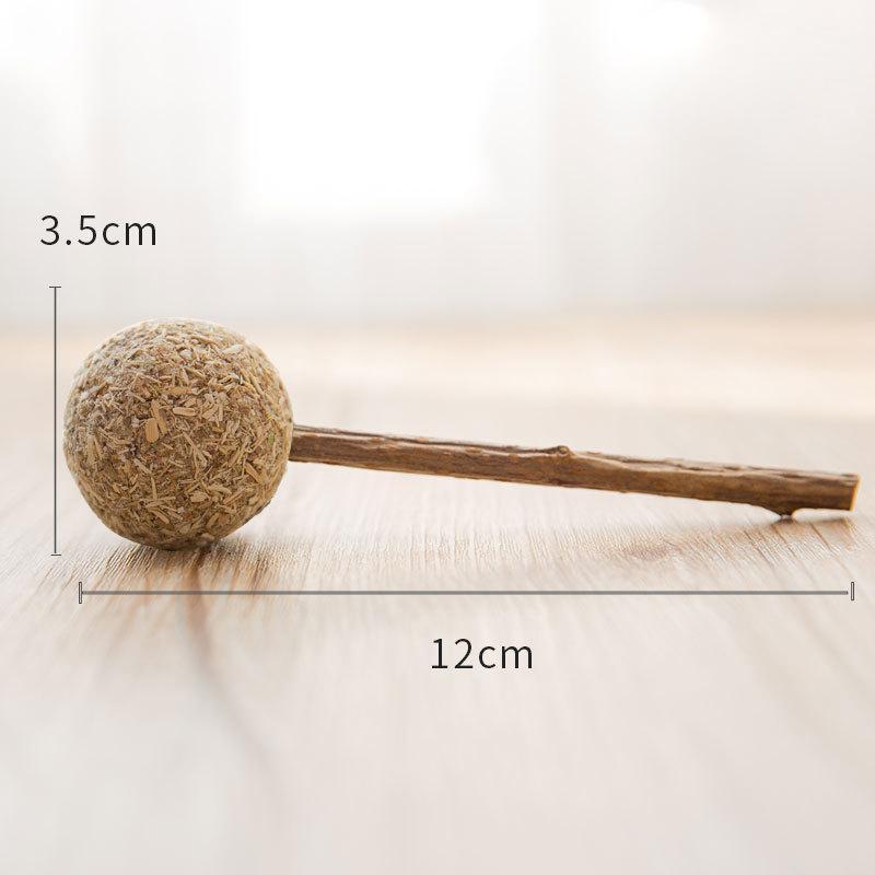 IHRneer Actinidia Polygama Lolipop Backenzahnzubehör (4 Arten)