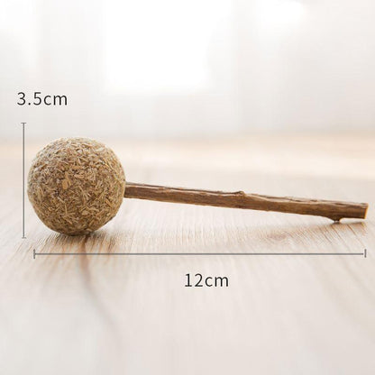 IHRneer Actinidia Polygama Lolipop Backenzahnzubehör (4 Arten)