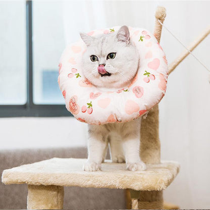 Collier anti-morsure Lighteme Elizabeth Circle réglable pour chat (4 couleurs et 4 tailles)