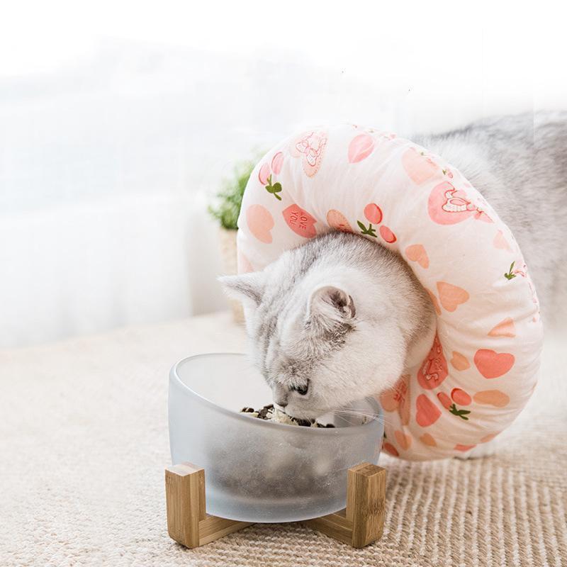 Collier anti-morsure Lighteme Elizabeth Circle réglable pour chat (4 couleurs et 4 tailles)